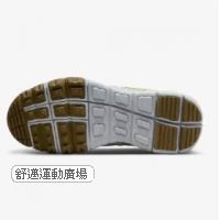 209-NIKE FREE TERRA VISTA NN