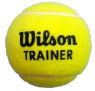 Wilson 練習網球